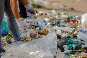 conciencia ambiental