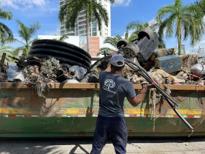 voluntariado ambiental