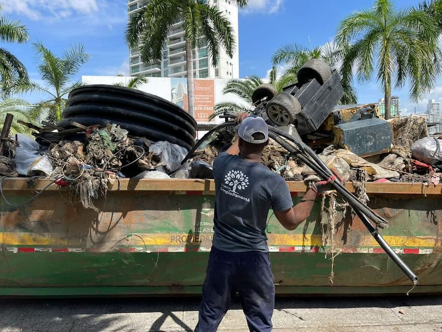 voluntariado ambiental