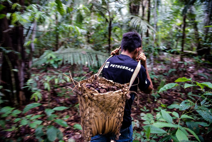 conservação ambiental