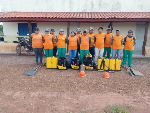 incêndios florestais